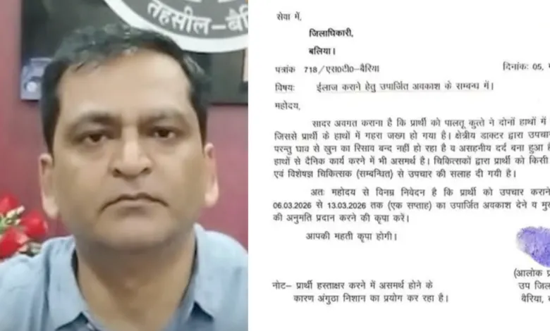 SDM requests DM for Medical Leave after bitten by Dog