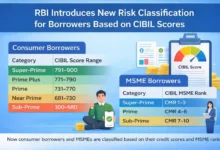 RBI Classifies Borrowers into Risk Categories Based on CIBIL Scores