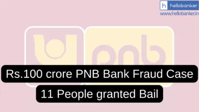 CBI Court grants Bail to 11 People in Rs.100 crore PNB Bank Fraud Case