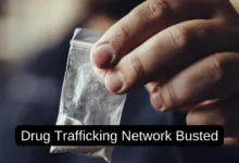 SBI Loan Manager arrested in Drug Trafficking Network in Shimla