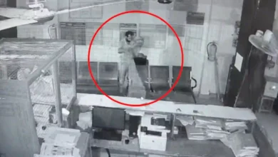 Attempted Burglary at Punjab National Bank Branch in Badaun, Thieves Fail to Steal Cash
