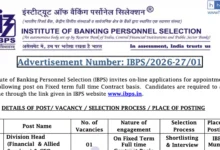 IBPS vacancy released for post of Division Head (Financial & Allied Services) & CFO