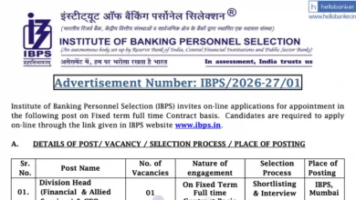 IBPS vacancy released for post of Division Head (Financial & Allied Services) & CFO