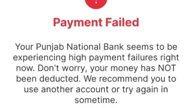 PNB UPI Service Down, Users report UPI Payments Failure