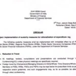 Finance Ministry Orders PSU Banks and Insurance Companies to Cut Travel and Shift to Electric Vehicles