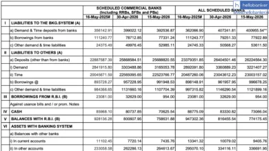 RBI Data Shows Bank Credit Growth Jumps to 15.8%
