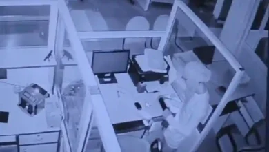 Thief Breaks Into PNB Branch in Hoshiarpur, Fails to Reach Cash Locker and Escapes With Tablet