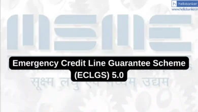 Emergency Credit Line Guarantee Scheme (ECLGS) 5.0