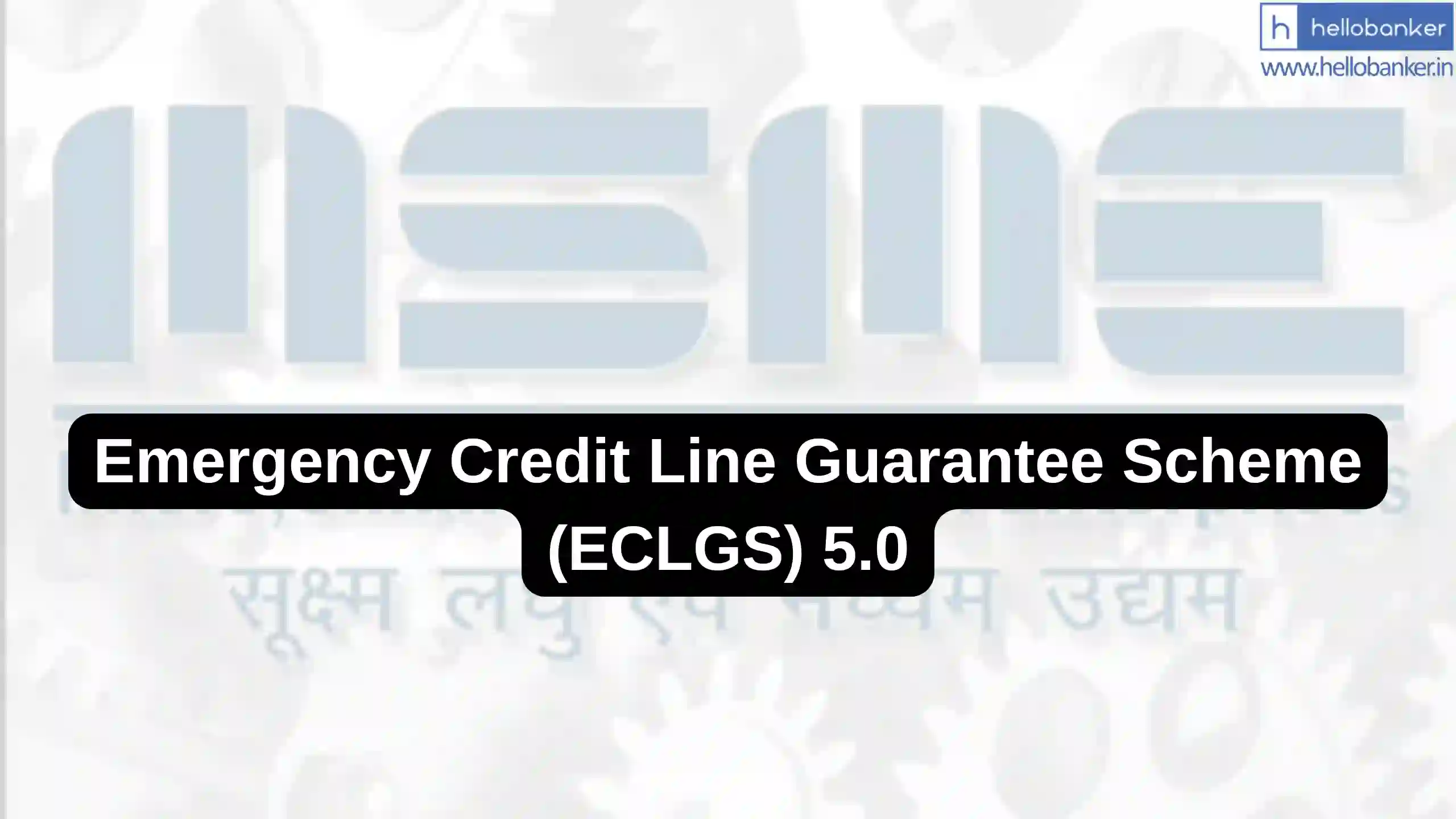 Emergency Credit Line Guarantee Scheme (ECLGS) 5.0 All Details, Eligibility, Guidelines PDF