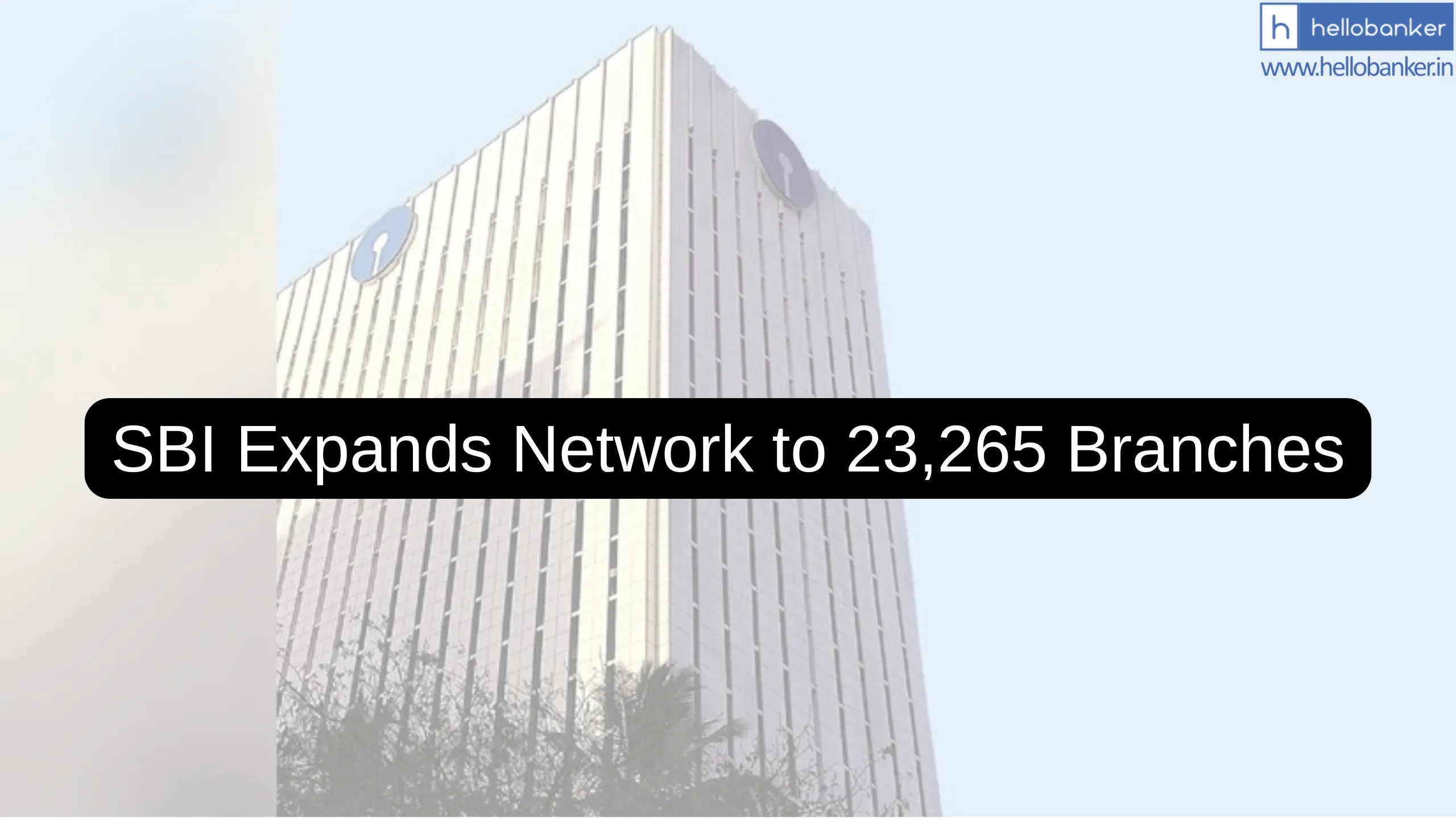 SBI Expands Network to 23,265 Branches, Check Total Domestic and Foreign Branches of SBI