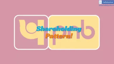 Shareholding Pattern of Punjab National Bank in FY26