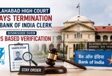 Allahabad High Court Stays Termination of Bank of India Clerk Dismissed Over IBPS Based Verification