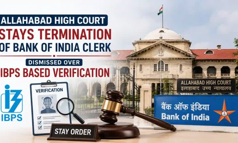 Allahabad High Court Stays Termination of Bank of India Clerk Dismissed Over IBPS Based Verification