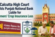 Calcutta High Court Holds Punjab National Bank Liable for Farmers' Crop Insurance Loss