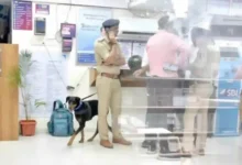Surat Court Grants Bail to Accused in Rs 50 Lakh SBI Branch Robbery Case