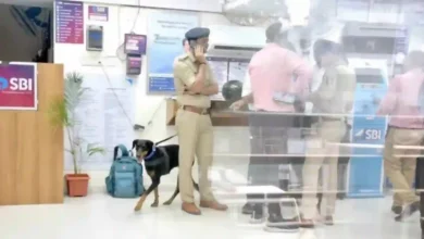 Surat Court Grants Bail to Accused in Rs 50 Lakh SBI Branch Robbery Case