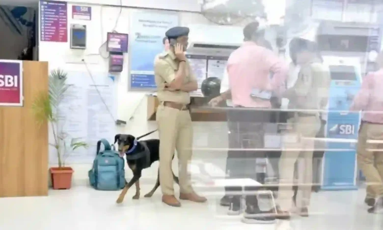 Surat Court Grants Bail to Accused in Rs 50 Lakh SBI Branch Robbery Case