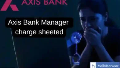 Axis Bank Deputy Manager charge sheeted for being involved in Digital Fraud