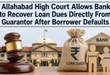 Allahabad High Court Allows Bank to Recover Loan Dues Directly From Guarantor After Borrower Defaults