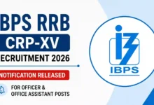 IBPS RRB CRP-XV Recruitment 2026 Notification PDF Out for Officer & Office Assistant Posts