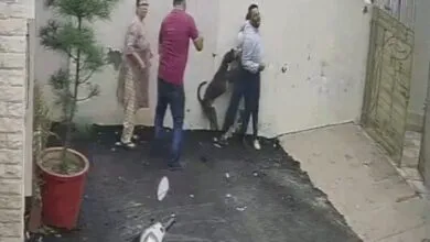 Pet Dog attacks Bank Staff in Punjab who went to see house for rent