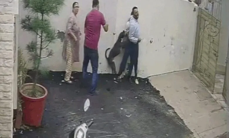 Pet Dog attacks Bank Staff in Punjab who went to see house for rent