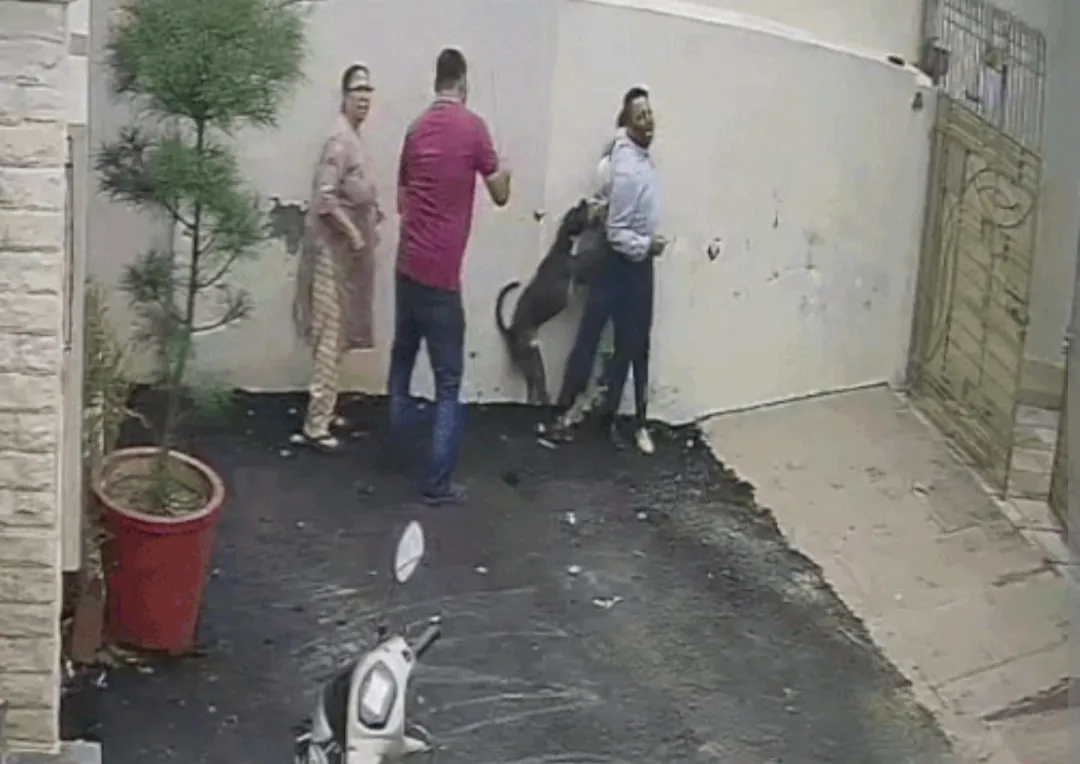 Pet Dog attacks Bank Staff in Punjab who went to see house for rent