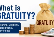 What is Gratuity
