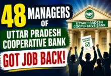High Court cancels sacking of 48 assistant managers of Uttar Pradesh Cooperative Bank