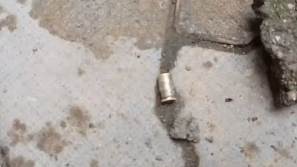 Gwalior Shooting: 4-5 Rounds Fired at Finance Company Executive Near Salasar Mall, Four Detained