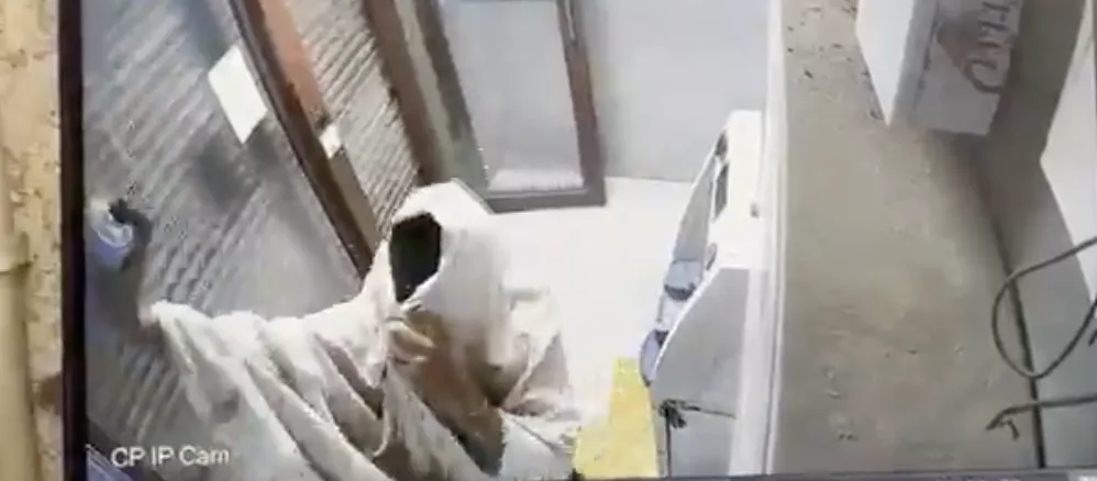 ATM Robbery in Canara Bank in Punjab